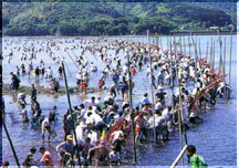 �䑑�p���Ċ�����