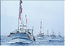 �O��L����