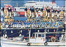 �V���l���ۍՂ�